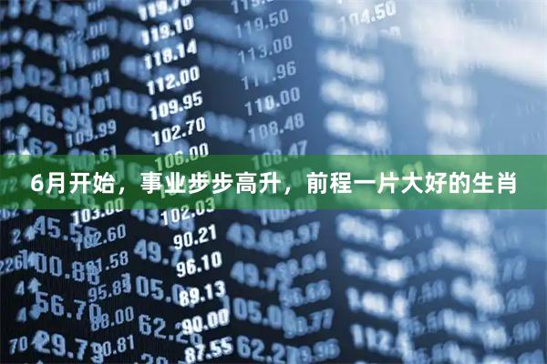 6月开始，事业步步高升，前程一片大好的生肖