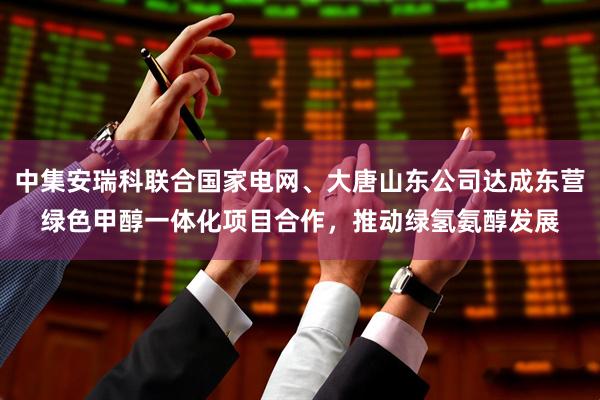 中集安瑞科联合国家电网、大唐山东公司达成东营绿色甲醇一体化项目合作，推动绿氢氨醇发展