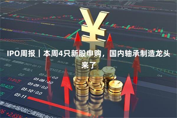 IPO周报｜本周4只新股申购，国内轴承制造龙头来了